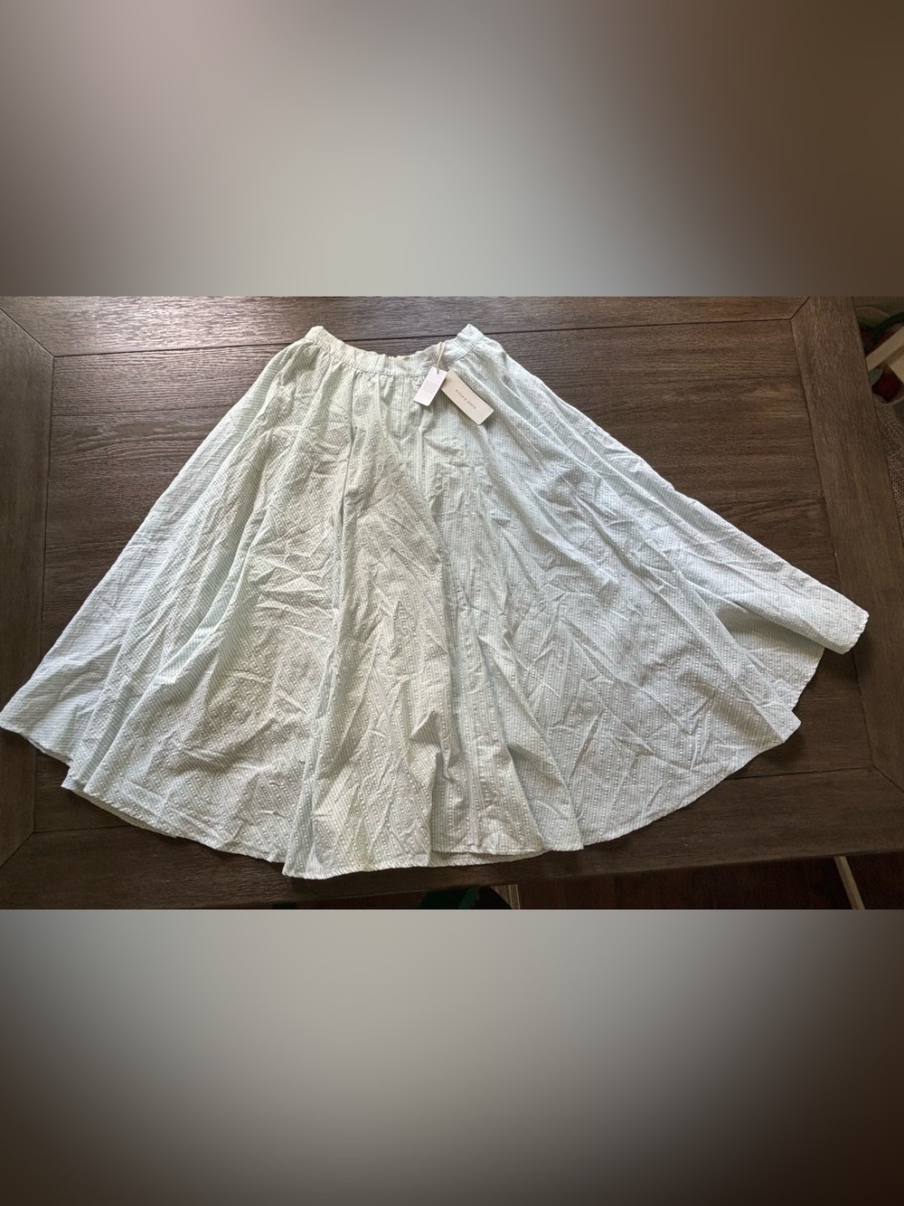 Altar'd State Light Mint Eyelet Circle Midi Skirt